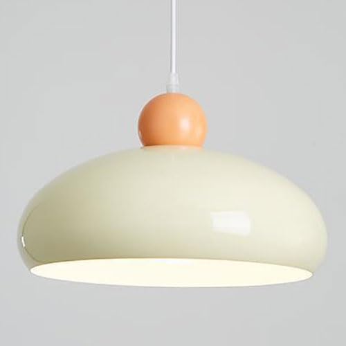Lustre de plafond à tête unique lampe suspendue en fer pour éclairer un petit espace