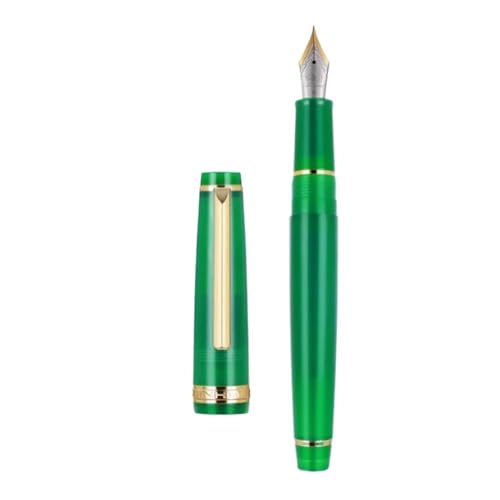 Stylo-plume pointe M en résine pour écriture scolaire apprentissage de la calligraphie