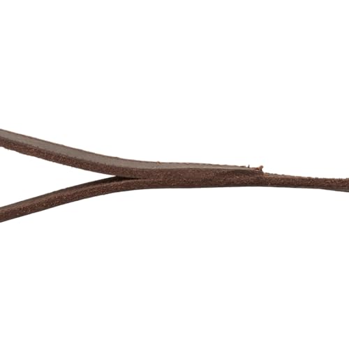 TRIXIE Hundeleine aus Leder Rustic Leine Leder M–L, 1,00 m 20 mm in dunkelbraun - Fettlederleine für Hunde im klassischen Design - für mittelgroße bis große Hunde - 19000