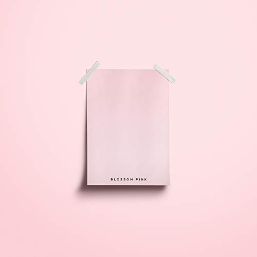 Hemway Matte Shabby Chic Chalk Based Furniture Paint 1L Blossom Pink Suitable For Interior Furniture, Wardrobes, Shelves, Tables And Chairs, Quick Drying Chalky Finish Smooth Touch #TOP3