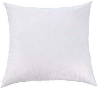 L' COZEE Premium Feather and Down Pillow Insert, Decorative Throw Stuffer Inserts, Hypoallergenic, Cotton Cover, White (17x17)'