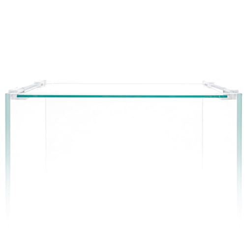 UNS Ultra-Clear Rimless Lid