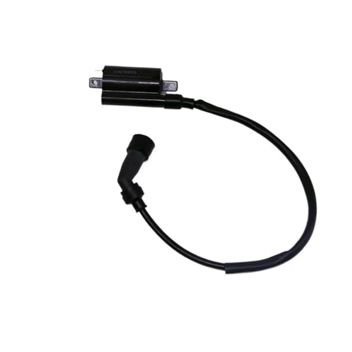 Bobina de encendido para ATV Ji-ling 300cc y motores JL1P73MN