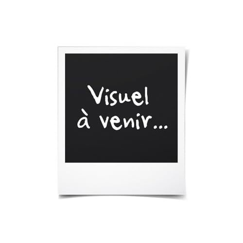 Ryobi SDS Perceuse à Percussion - vue 10