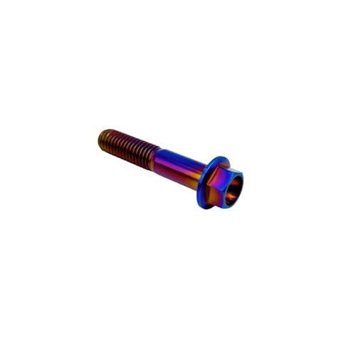 Image of Rison Titanium Bolts - Flanged Hex Head Titanium M6x1.0x25mm 6AL4V Aerospace Grade Ti Bolt (Burnt Blue, Pack of 5)