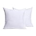 MIULEE Set of 2 Throw Pillow Inserts Hypoallergenic Premium Pillow Stuffer Square Form for Decorative Cushion Bed Couch Sofa 18x18 Inch