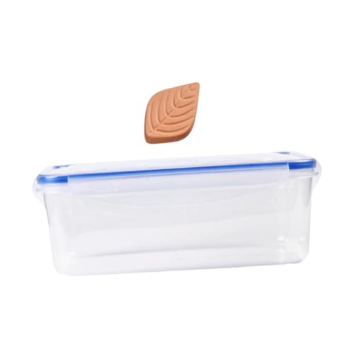 Anneome 1 Zbg q~h[ Xg[W VK[[z_[ V