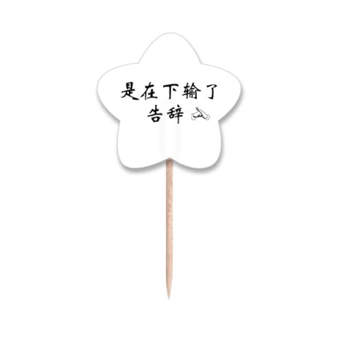 Drapeaux étoiles de qualité supérieure pour étiquettes de cupcakes