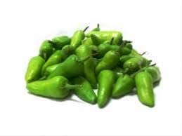 Bullet chilli seeds hybrid all seasons (120 seeds) (B0C4Y3TRF9) Amazon Price History, Amazon Price Tracker