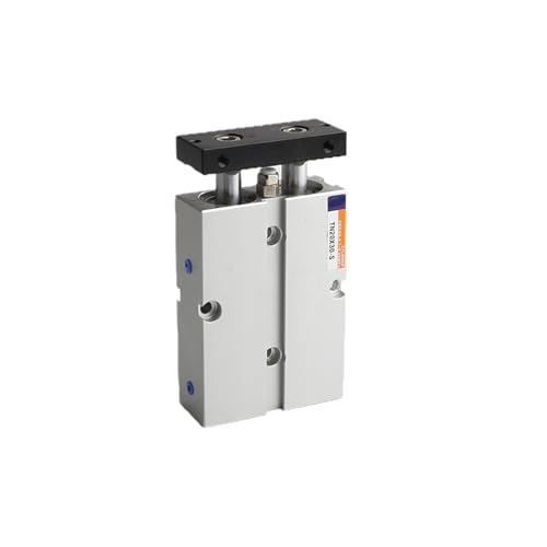 Vérin pneumatique TN20 double tige pour alignement de précision - 2