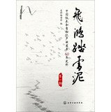 Snapshots snow mud Chinese instrumentation and automation industry for 60 years historical data  Series 1 Chinese Edition