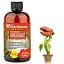 CARNIVOROUS PLANTS
