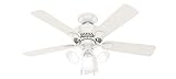 Hunter 44 inch Indoor Ceiling Fan with LED Lights...