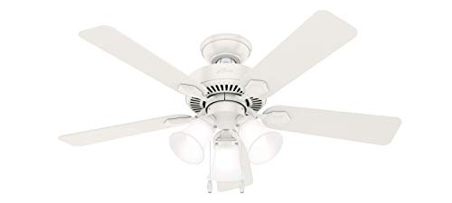 Hunter 44 Indoor Ceiling Fan with LED Lights