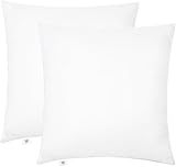 Makimoo Lot de 2 Coussins de Garnissage 40 x 40 cm, Coussin à Recouvrir, Oreillers Intérieur, Rembourrage Coussins
