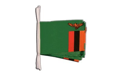Guirlande drapeau Zambie 6m Digni pour decoration