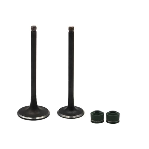 Kit tige d'admission DR200 élimine bruits moteur moto RV200