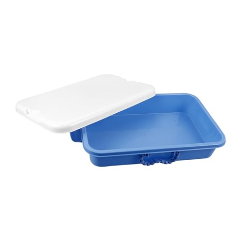 BESPORTBLE Handheld Sand Tray Storage Box with Lid Portable Plastic Sandbox for Versatile Organizer with Handle for Indoor Outdoor Activities