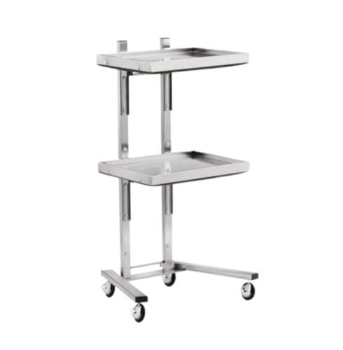 Salon Rolling Trolley with Foldable Design and Stainless Steel Construction for Hairdressing Black Beauty Cart with Wheels and Tray Storage,Silver-40 * 30 * 86cm