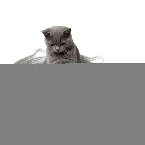 􂦂Lxbh | 􂦂  [v ҂ }bg t | 킢 qL p xbh L ,qL q ^  I[V[Y    Q rO  p