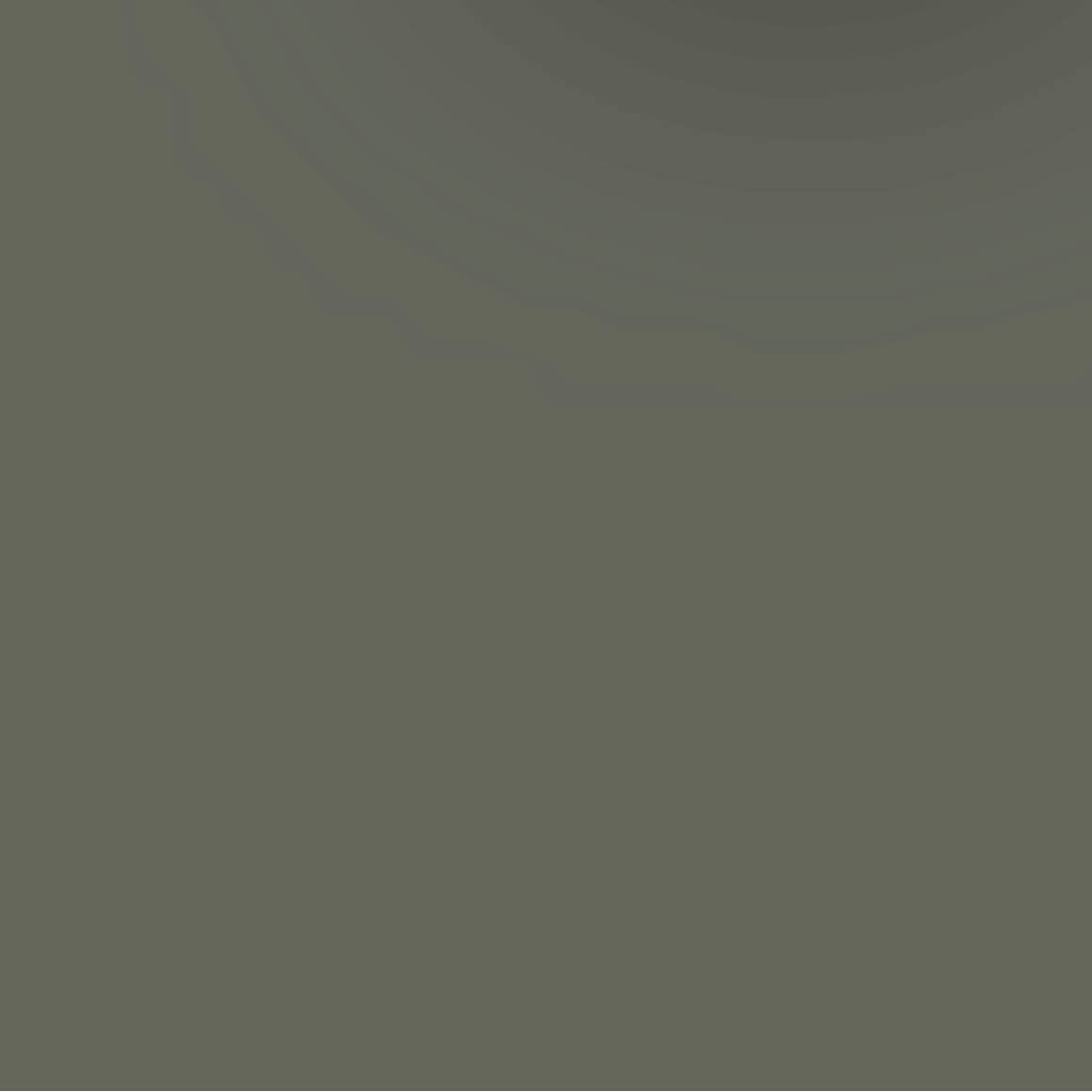 Amazon.com: ACDelco GM Original Equipment 19367667 Mineral  