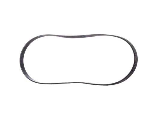 Continental Contitech 6PK1195 Courroie trapézoïdale à nervures