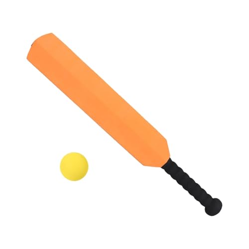 Juego de cricket para niños y tardes de juego divertido al aire libre