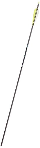Flèches Gold Tip Velocity XT 300 pour stopper les tirs instables