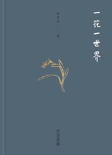 一花一世界