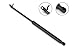 Premium Quality Brand Stabilus Deck Lid Lift Support Compatible With 1997-1993, Lexus GS300