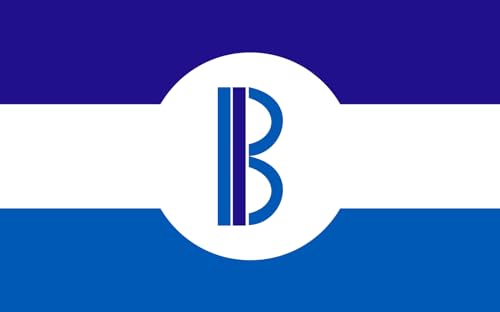 Drapeau Large Bensenville Illinois drapeau paysage extérieur résistant - 2