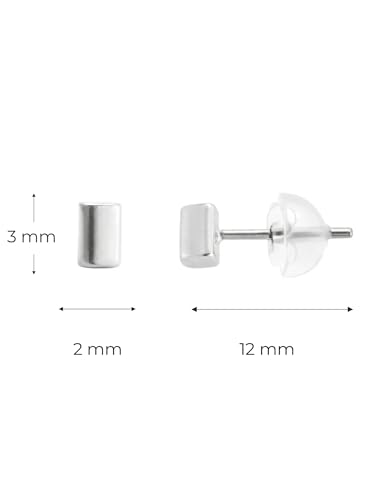 Image of Solid 925 Sterling Silver Stud Earrings for Women & Men, Hypoallergenic 18K Gold Plated & Silver Small Studs, Minimalist Elegant Earrings for Birthday, Party, Daily Gift