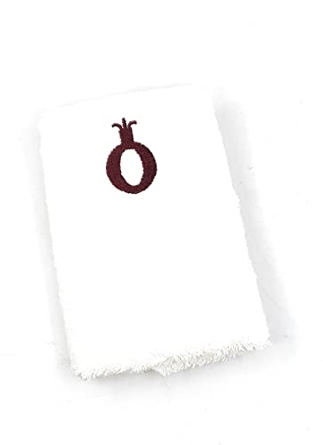 Unique Laser-Cut Stainless Steel Passover Seder Plate With Glass Insets, Matzah Cover + Towel Original Judaica Design (Lacey Pomegranates) #TOP3