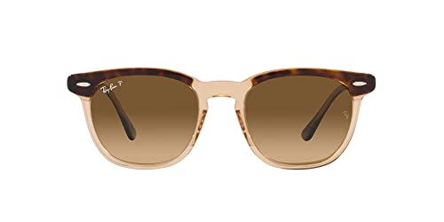 Ray-Ban RB2298 Hawkeye Square Sunglasses, Havana On Transparent Brown/Brown Gradient Polarized, 52 mm