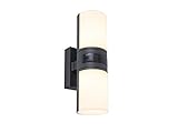 lutec kamera Lichtleistung: 2x 500 Lumen Lichtfarbe: 3000 Kelvin