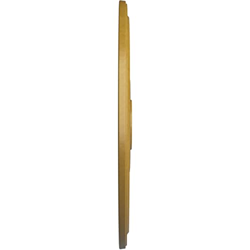 Image of Ekena Millwork CM24DIIGS Diane Ceiling Medallion, 24 inchOD x 3 5 /8 inchID x 1 1 /4 inchP (Fits Canopies up to 6 1 /4 inch), Hand-Painted Iridescent Gold