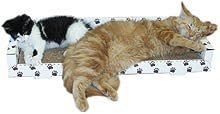 Cat Claws Cat Couch