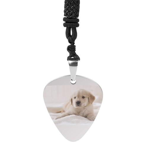 M^[ sbN 킢   lbNX y_g Guitar Pick `F[ `^| [vt y y v[gy_g O`F[ WG[ M^[p̃sbN qbvzbv Ǝ LO lC 蕨