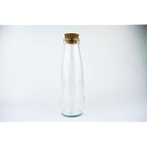 Gesloten terrarium container | 21 cm met kurkdeksel