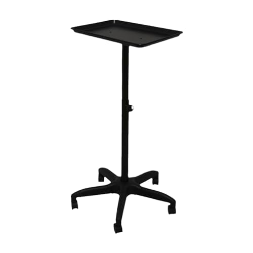 eTJ[g wAGNXeVc[gC A[Xg [OJ[g