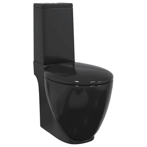 vidaXL Inodoro de cerámica con Cisterna Negro