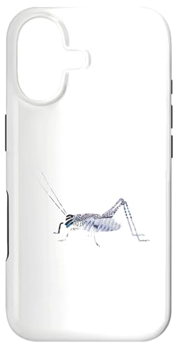 j[NȃX`[pN  NPbg R[WA[g  R X}zP[X iPhone 17 p