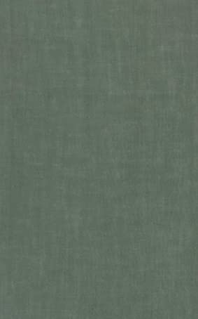 ̈V ʂun D΁v { 100%  { 35cm×100cm