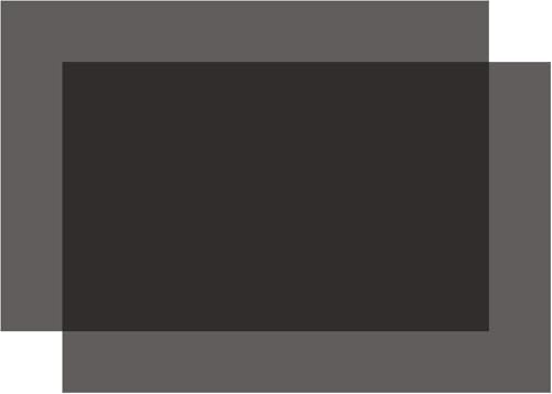 Selens 偏光フィルム 偏光シート 20x30cm 2枚入り 粘着なし 偏光子液晶スクリーン 教育物理学用 線形偏光フィルター