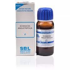 SBL Echinacea Angustifolia (Q) (30ml) || Pack of 2