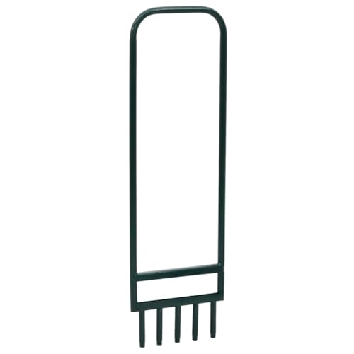 vidaXL Rasenlüfter mit 5 Hohlzinken, Rasen Aerator mit Fußstange Griff, Vertikutierer zum Lockern von Boden, Aerifizierer, Grün Pulverbeschichteter Stahl