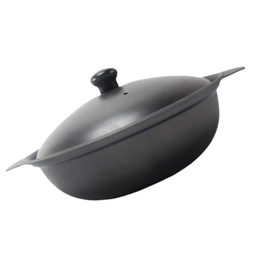 HOMOBABE Cazuela de Hierro Fundido de 16 Cm Tapa de Hierro Olla para Guisar y Estofar Casera Adecuado para Arroz Pollo Estofado y Sopas Hogar