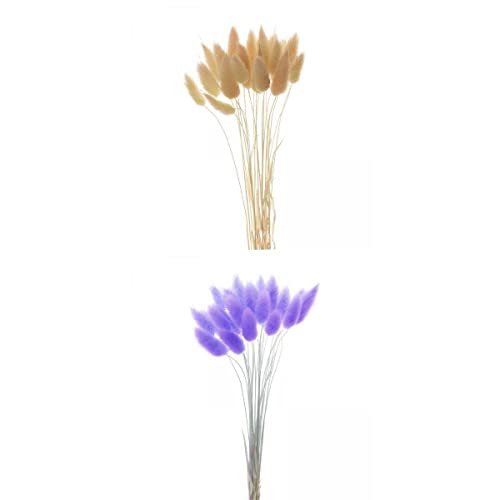UGPLM Grama de flores secas naturais cauda de coelho decoração faça você mesmo
