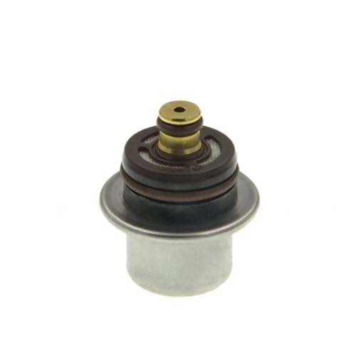 akddaf Regulador de presión combustible, Compatible for Fiat, Stilo, Ford, Ecosport, Focus, GM, Blazer, Celta, Corsa, Sedan válvula reguladora de presión de combustible