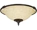Craftmade LK24-AG-LED Elegance 2-Light Kit, LED 18 Total Watts, Aged Bronze Textured